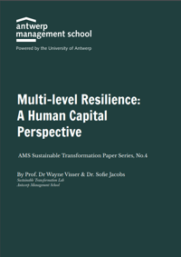 multilevel resilience